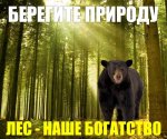Аншлаг "Берегите природу"