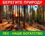 Аншлаг "Берегите природу"