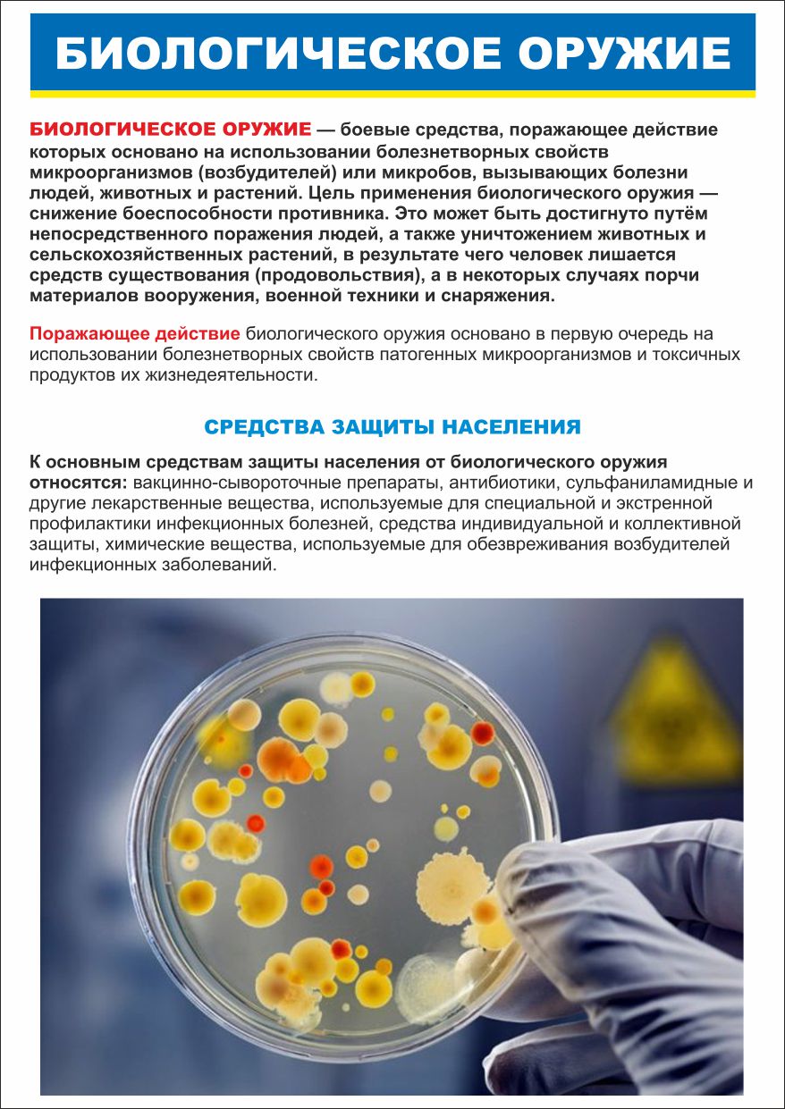 Плакат