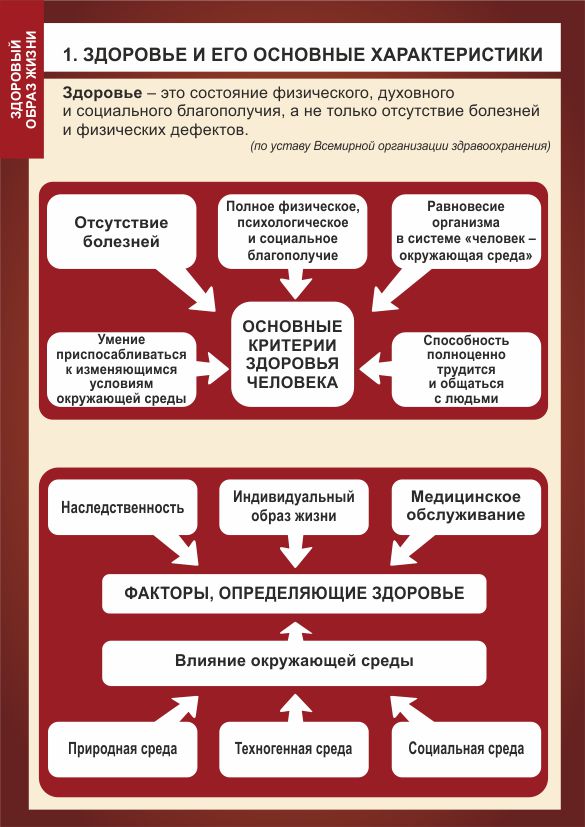 Плакат