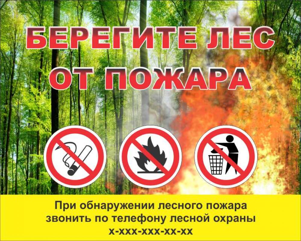 аншлаги берегите лес