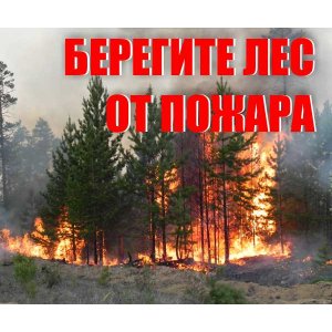 Аншлаг "Берегите лес от пожара"
