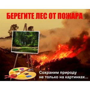 Аншлаг "Берегите лес от пожара"
