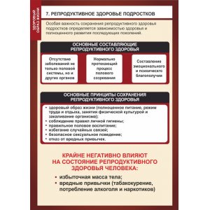 Плакат "Репродуктивное здоровье подростков"