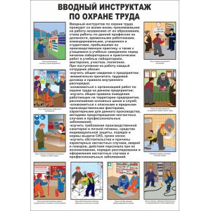 Плакат "Вводный инструктаж"