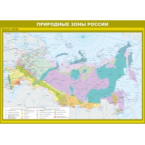 Стенд "Природные зоны России"